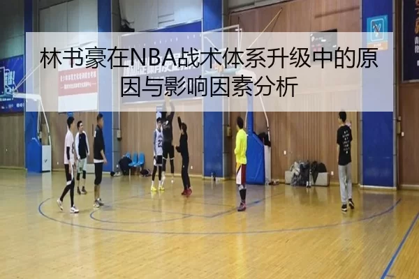 林书豪在NBA战术体系升级中的原因与影响因素分析